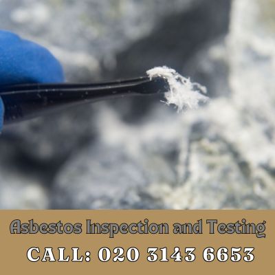 Comprehensive Asbestos Inspection and Testing Services in North Cray